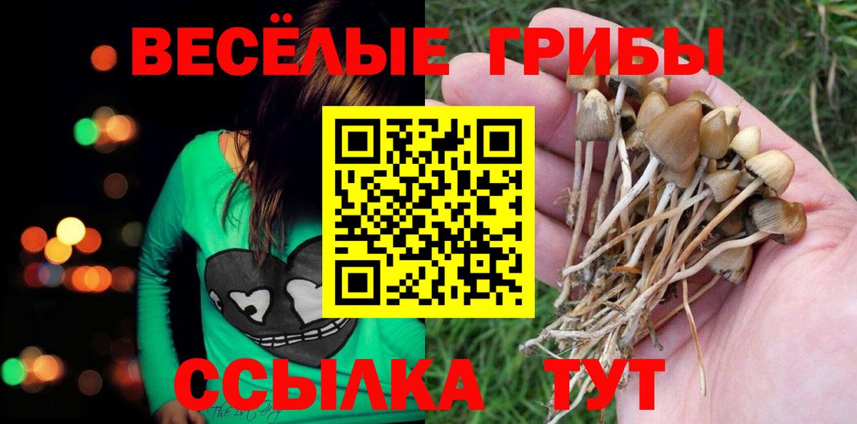 Галлюциногенные грибы Magic Shrooms Ржев